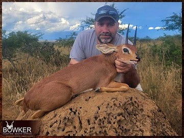 Trophy Hunting South Africa 152 Steenbok African hunt.