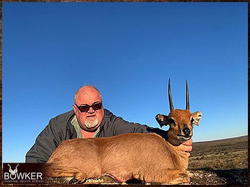 Free Range Hunting and Fair Chase Hunts in South Africa 22 African Steenbok hunt with Nick Bowker.