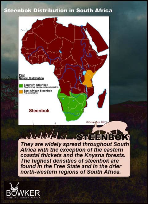 Steenbok Hunting - All You Need to Known About Hunting Steenbok 24 Steenbok Trophy hunt. Steenbok distribution across Africa.