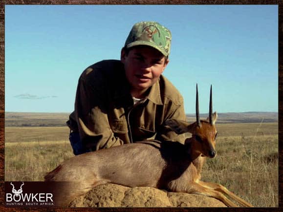 Steenbok hunting - trophy shot in the Eastern Cape South Africa. Steenbok make for a cheap add on to any of our packages. Steenbok trophy hunt. Trophy shot in the Eastern cape South Africa.