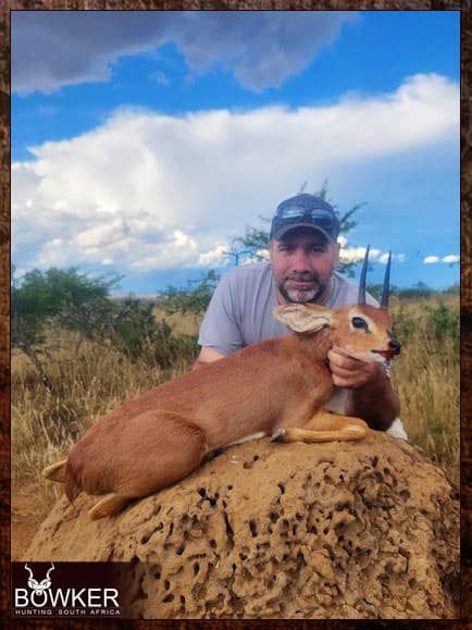Steenbok Hunting - All You Need to Known About Hunting Steenbok 4 Steenbok safari hunting in South Africa
