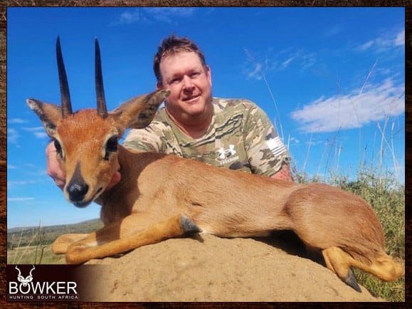 Steenbok Hunting - All You Need to Known About Hunting Steenbok 14 Steenbok safari hunt in South Africa