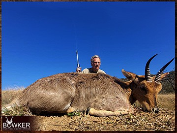 Trophy Hunting South Africa 69 Mountain Reedbuck hunting in Africa.