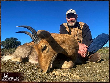 Trophy Hunting South Africa 70 Mountain Reedbuck hunting in Africa.