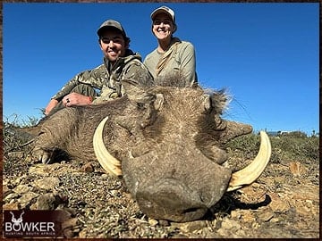 Trophy Hunting South Africa 61 Warthog hunted in 2023.