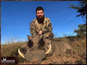 Trophy Hunting South Africa 62 Warthog shot in 2023.
