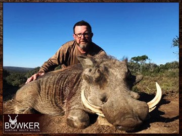 Warthog trophy in a client 7 animal 8-day African trophy hunt. Warthog trophy in a client 7 animal 8-day African trophy hunt.