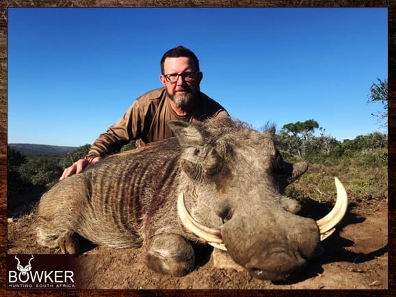 Warthog Hunting - All You Need to Know About Warthog Hunts 4 Trophy shot in the Eastern cape South Africa with Nick Bowker Hunting