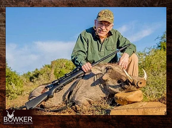 My African Hunt 4 Warthog trophy taken on my African hunt