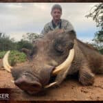 Warthog Hunting - All You Need to Know About Warthog Hunts 32 Warthog African safari hunt with Nick Bowker.