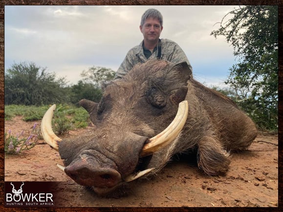 Warthog Hunting - All You Need to Know About Warthog Hunts 20 African safari hunt with Nick Bowker.