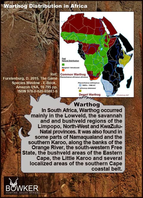 Warthog Hunting - All You Need to Know About Warthog Hunts 45 Distribution across Africa