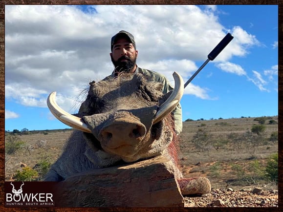 Warthog Hunting - All You Need to Know About Warthog Hunts 12 Warthog Trophy hunt with Nick Bowker in South Africa