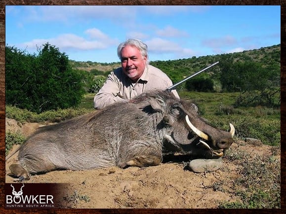Warthog Hunting - All You Need to Know About Warthog Hunts 15 Boars will display darkened skin.