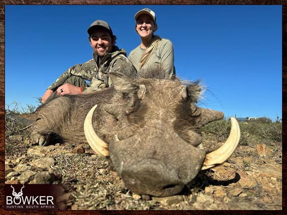 Warthog Hunting - All You Need to Know About Warthog Hunts 31 Warthog harvested in 2023.