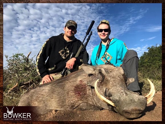 Warthog Hunting - All You Need to Know About Warthog Hunts 24 Tusks will curve 90 degrees.