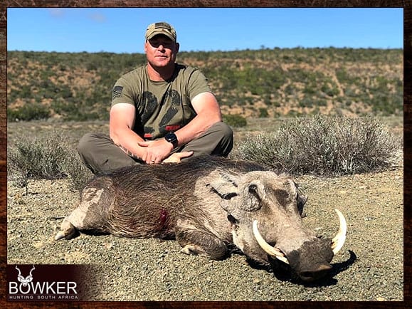Warthog Hunting - All You Need to Know About Warthog Hunts 21 They have tusks like elephants.