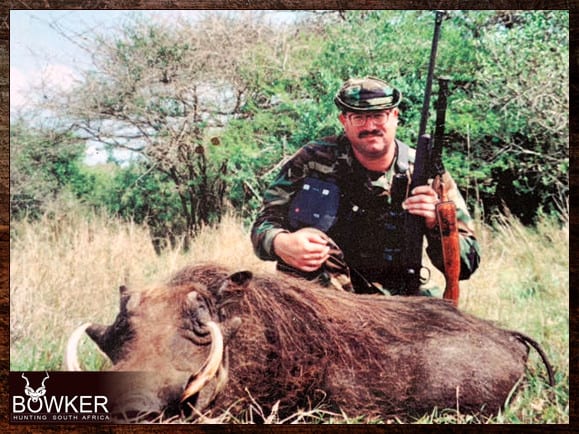 Warthog Hunting - All You Need to Know About Warthog Hunts 22 Up to two inches of tusk is not vissibe.