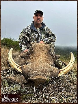 Trophy Hunting South Africa 65 Warthog hunted in 2023
