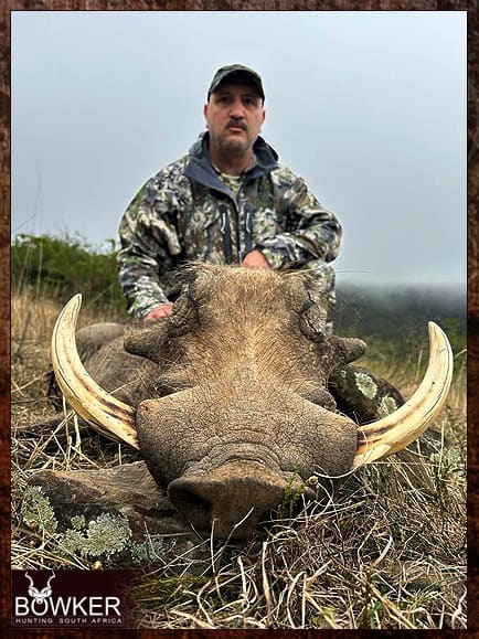 Free Range Hunting and Fair Chase Hunts in South Africa 3 Warthog hunted free range.