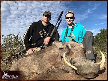 Trophy Hunting South Africa 41 Warthog hunted safari style.