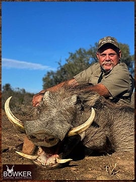Trophy Hunting South Africa 38 Warthog hunting in Africa.
