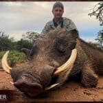 Warthog Hunting - All You Need to Know About Warthog Hunts 30 Warthog hunting in Africa.