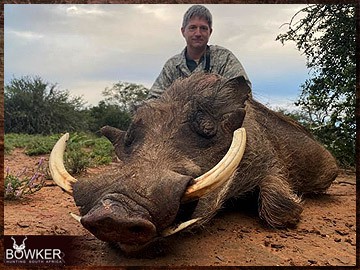 Trophy Hunting South Africa 42 Warthog hunting in Africa.
