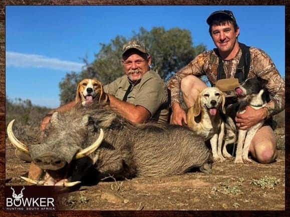 Warthog Hunting - All You Need to Know About Warthog Hunts 18 Safari hunt with Nick Bowker.