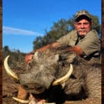 Warthog Hunting - All You Need to Know About Warthog Hunts 26 Warthog hunting requires excellent accuracy.