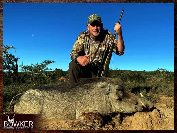 African Cull Hunt - come and enjoy some Trigger Time 15 Warthog shot in the Eastern Cape