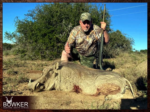 African Cull Hunt - come and enjoy some Trigger Time 31 Warthog cull hunting in the Eastern Cape South Africa