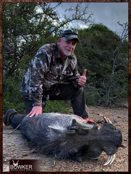 African Cull Hunt - come and enjoy some Trigger Time 24 Warthog shot