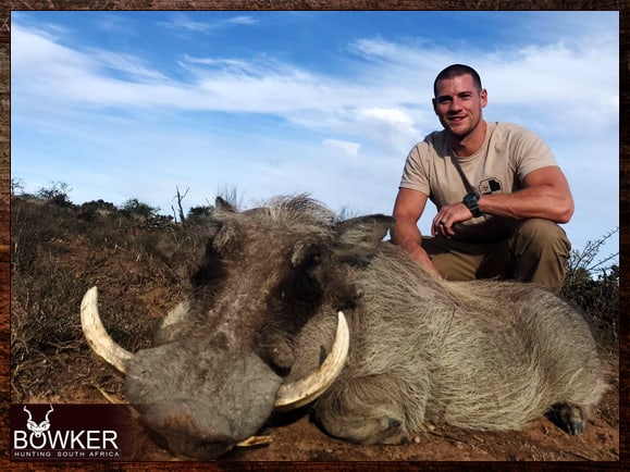 Warthog Hunting - All You Need to Know About Warthog Hunts 6 Warthog hunting in South Africa