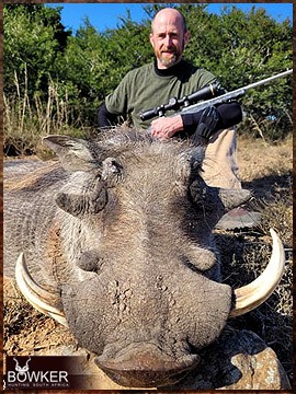 Trophy Hunting South Africa 50 Warthog trophy hunted in South Africa.