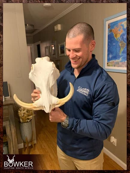 Warthog Hunting - All You Need to Know About Warthog Hunts 7 Warthog trophy skull mount hunted in Africa
