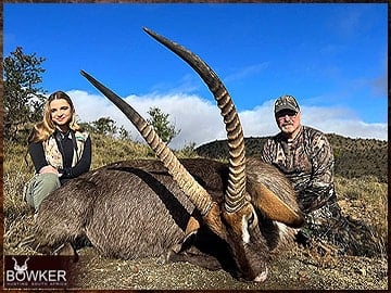 Trophy Hunting South Africa 32 Waterbuck harvested in 2023