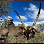 Plains Game Hunting in Africa - Hunt Plains Game with Nick Bowker 72 Waterbuck African hunt with Nick Bowker.