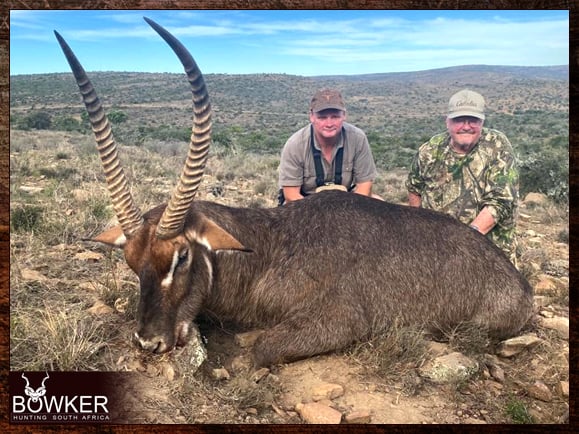 Choosing an African Outfitter for a Guided Hunt 8 Waterbuck guided hunt