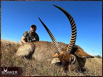 Trophy Hunting South Africa 43 Waterbuck hunted in 2023 with Nick Bowker Hunting