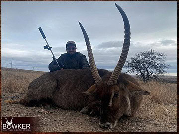Trophy Hunting South Africa 19 Waterbuck hunting in Africa.