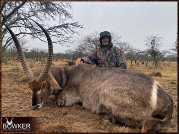 Trophy Hunting South Africa 16 Waterbuck hunting in Africa.