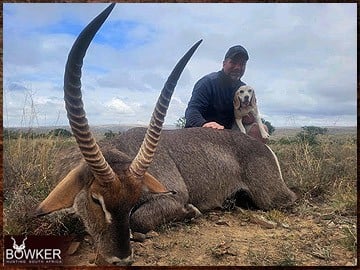 Trophy Hunting South Africa 7 Waterbuck hunting in Africa.