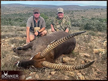 Trophy Hunting South Africa 17 Waterbuck trophy