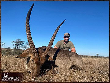 Trophy Hunting South Africa 8 Waterbuck trophy