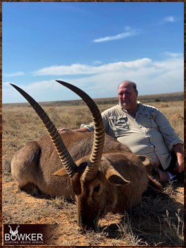 Trophy Hunting South Africa 12 Waterbuck trophy hunted in South Africa.