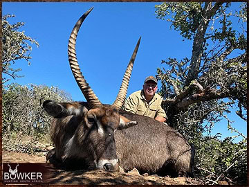 Trophy Hunting South Africa 2 Waterbuck trophy hunted in South Africa.