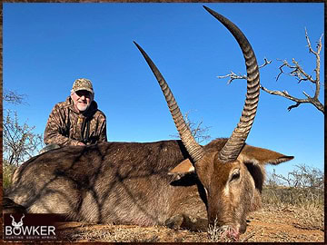 Free Range Hunting and Fair Chase Hunts in South Africa 13 Waterbuck trophy hunted in South Africa.
