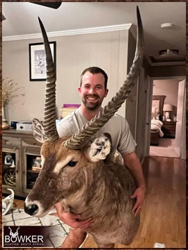 Trophy Hunting South Africa 24 Waterbuck trophy shoulder mount delivered to the United States after an African hunt.