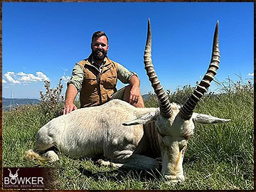 Trophy Hunting South Africa 82 White blesbok harvested in 2023.